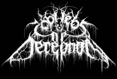 logo Cobwebs Of Deception